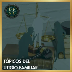 SEMINARIO AVANZADO: TÓPICOS DEL LITIGIO FAMILIAR