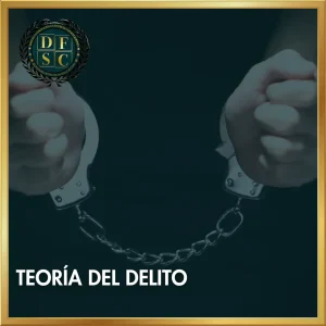 CURSO: TEORÍA DEL DELITO