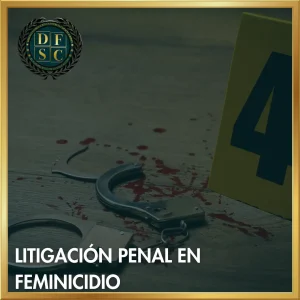 TALLER: LITIGACIÓN PENAL EN FEMINICIDIO: ACUSACIÓN Y DEFENSA A PARTIR DE UN CASO REAL